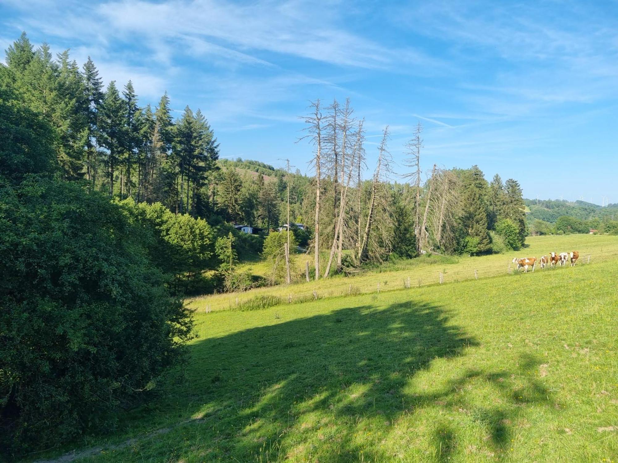 Explorer'S Lodge & Camping Helminghausen Εξωτερικό φωτογραφία