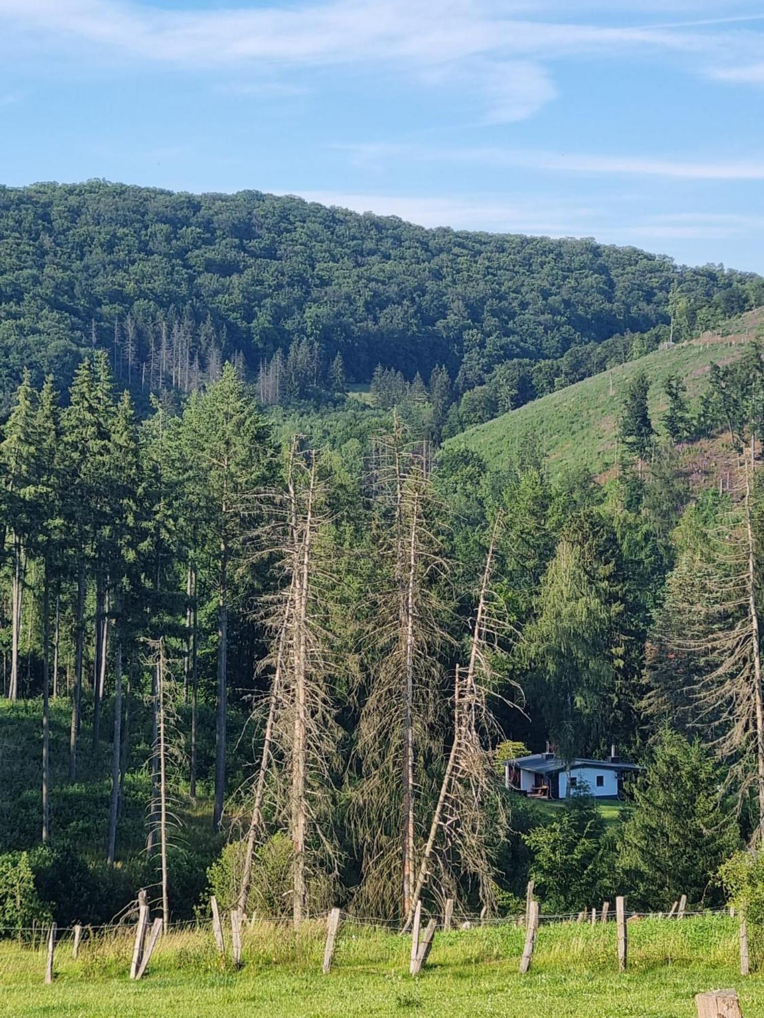Explorer'S Lodge & Camping Helminghausen Εξωτερικό φωτογραφία